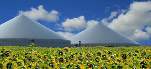 Biogas plant